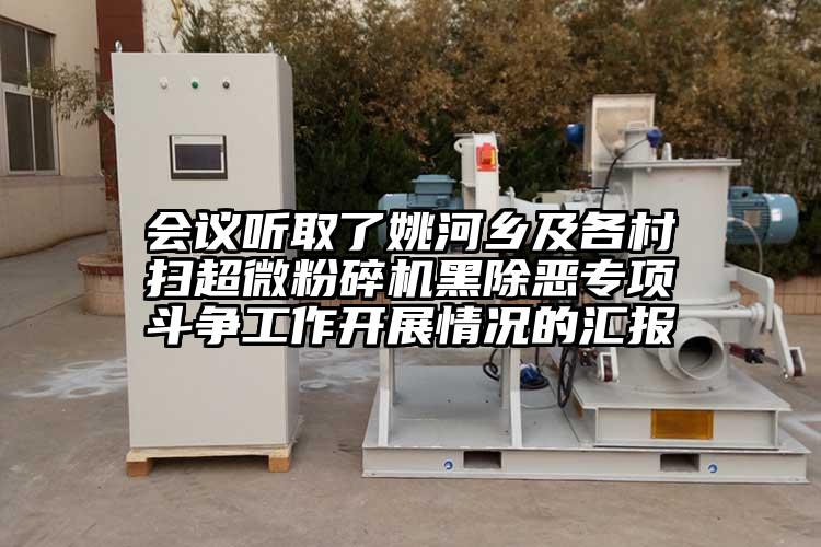 會議聽取了姚河鄉及各村掃超微蘑菇TV官方在线观看黑除惡專項鬥爭工作開展情況的匯報
