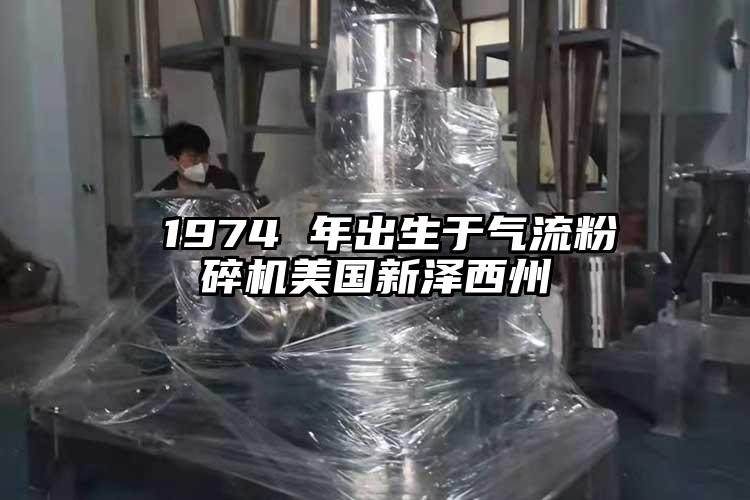  1974 年出生於氣流蘑菇TV官方在线观看美國新澤西州
