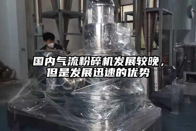 國內氣流蘑菇TV官方在线观看發展較晚，但是發展迅速的優勢