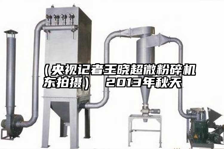（央視記者王曉超微蘑菇TV官方在线观看東拍攝） 2013年秋天