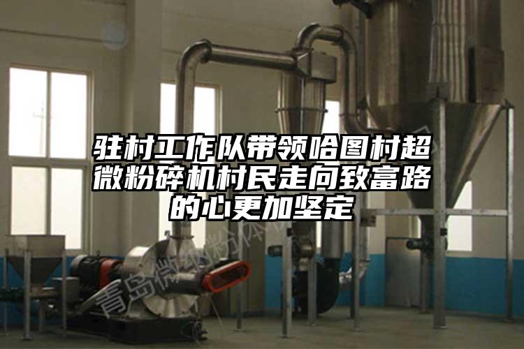 駐村工作隊帶領哈圖村超微蘑菇TV官方在线观看村民走向致富路的心更加堅定