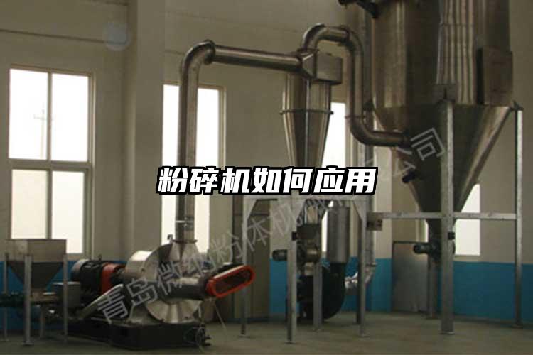 蘑菇TV官方在线观看如何應用