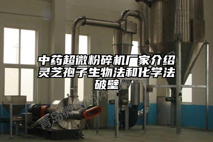 中藥超微蘑菇TV官方在线观看廠家介紹靈芝孢子生物法和化學法破壁