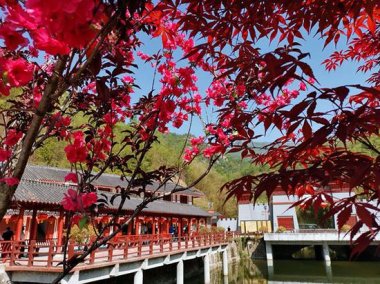 “知名度、美譽度以及地方政府對旅超微蘑菇TV官方在线观看遊業和生態建設的重視程度”亦是重要的參考因素